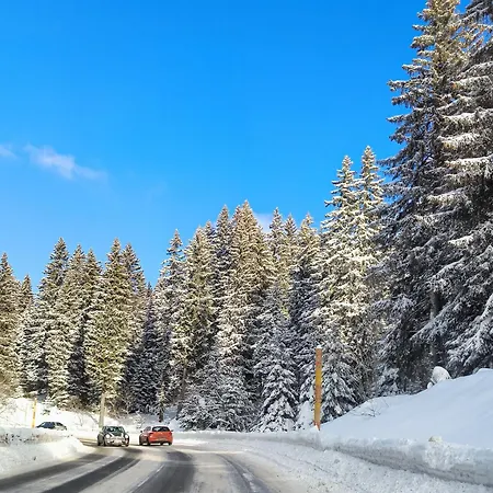 Kopaonik, Forelia, Hill